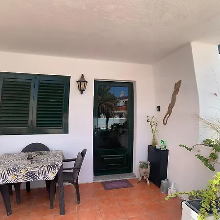 Albatros * بويرتو ذيل كارمين