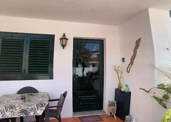 Albatros * プエルト・デル・カルメン